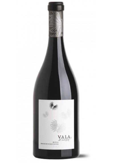 Red wine Vala de Solabal.