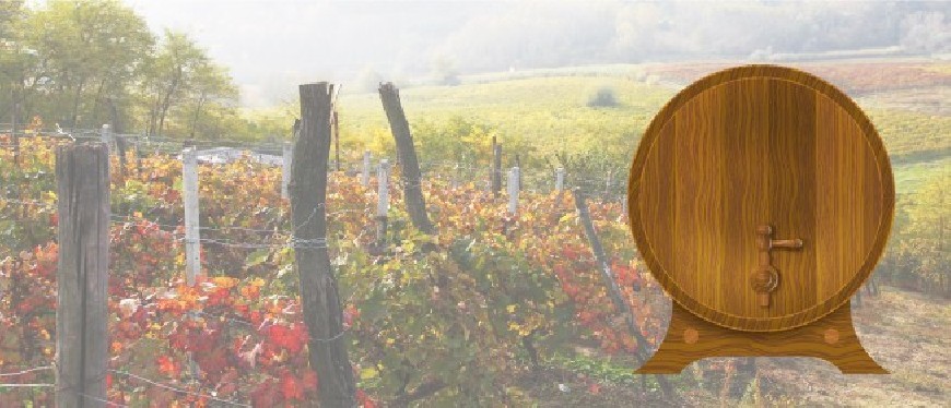 Rioja wineries